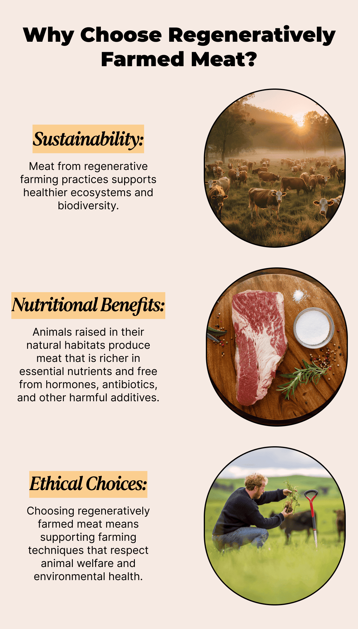 Why Choose Regeneratively Farmed Meat?