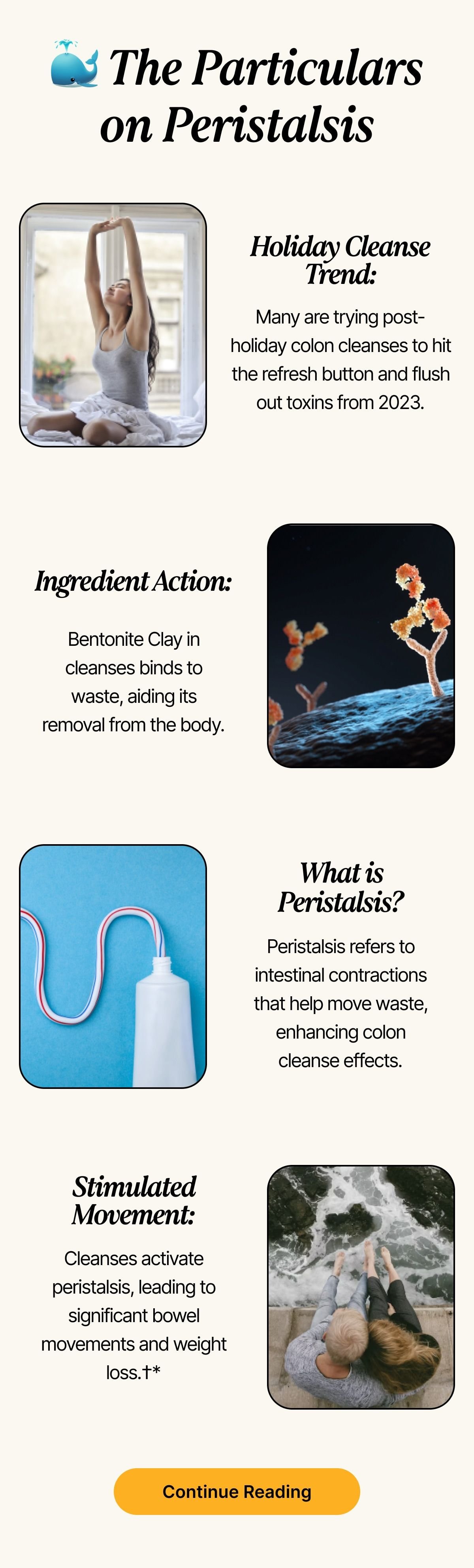 The Particulars on Peristalsis