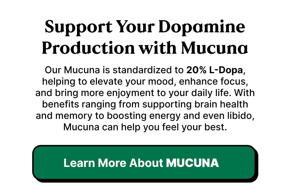 Support Your Dopamine Product With Mucuna