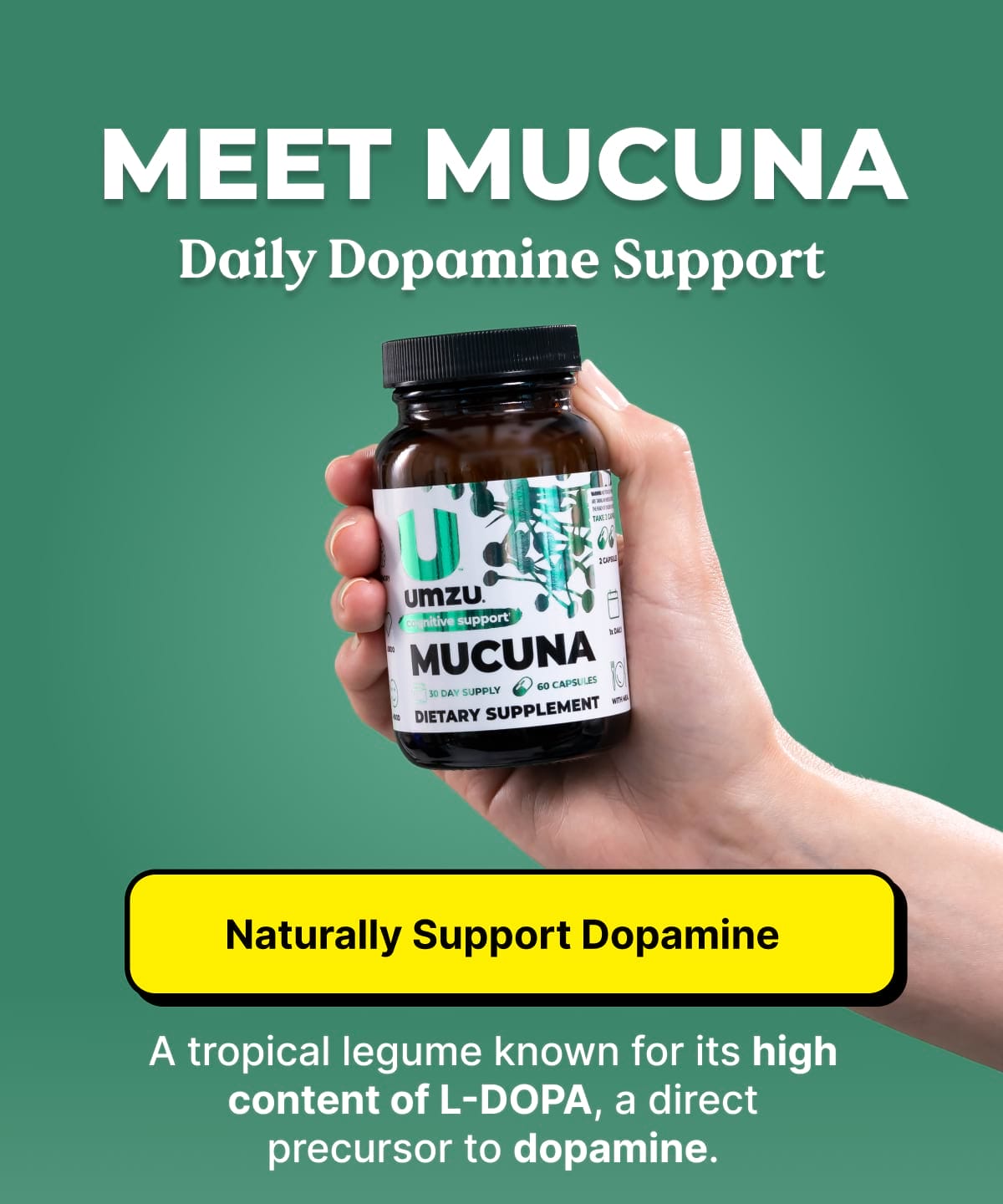 Meet Mucuna: Daily Dopamine Support