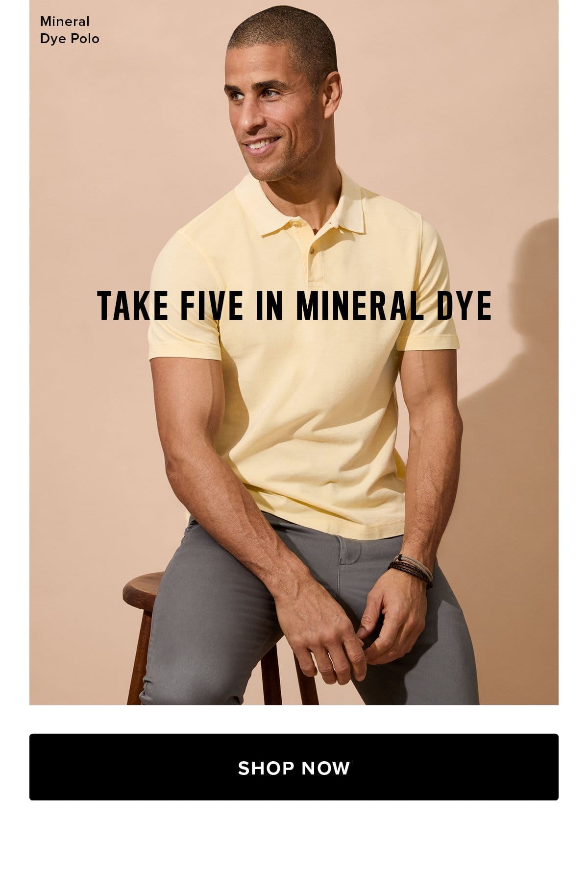 Take Five In Mineral Dye