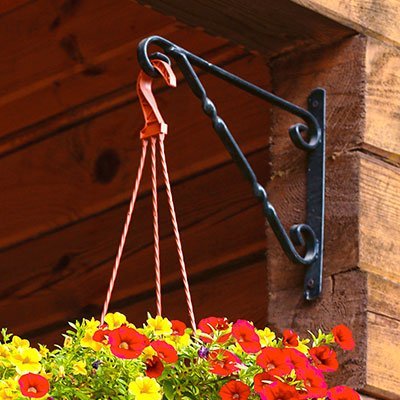 Shop Plant Hangers