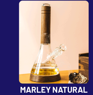 SHOP MARLEY NATURAL