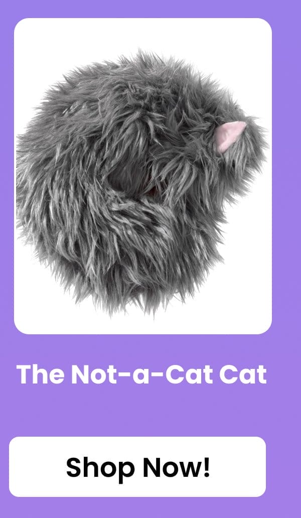 The Not-a-Cat Cat