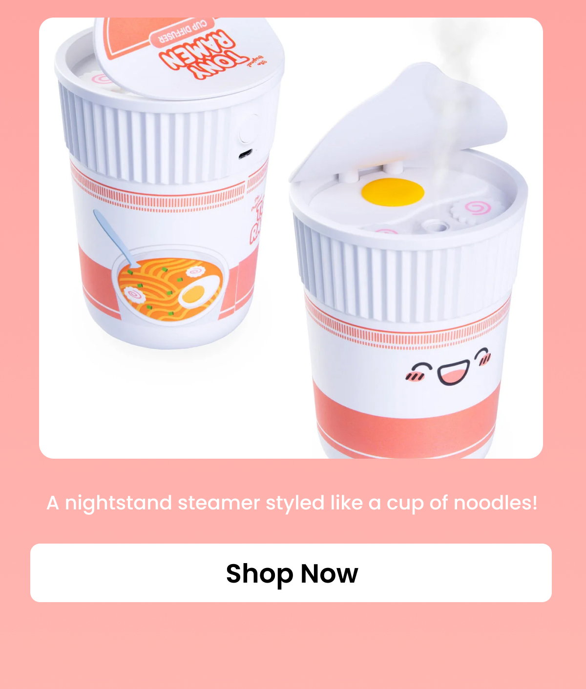 Ramen Noodle Cup Humidifier