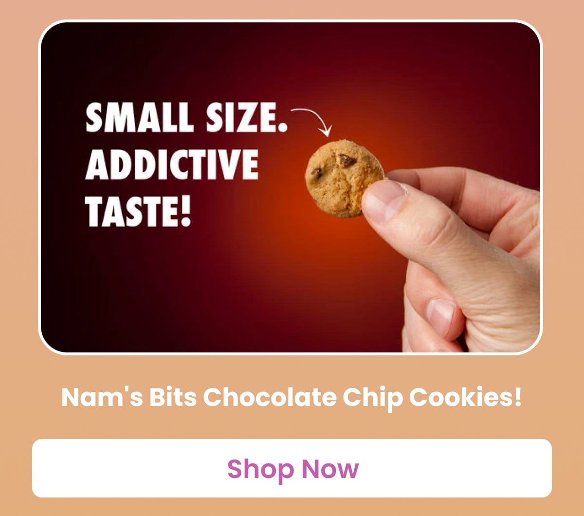 Nam's Bits Chocolate Chip Cookies