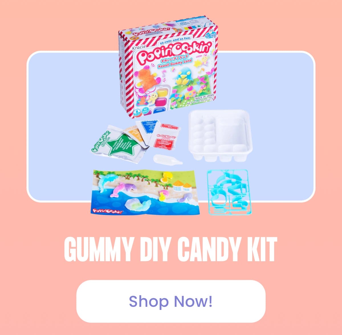 Gummy DIY Candy Kit