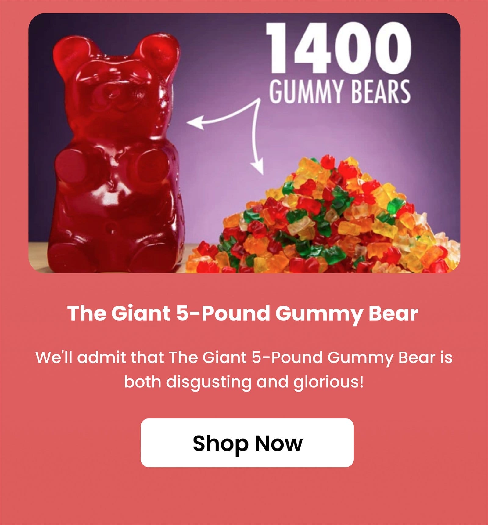 Giant 5-Pound Gummy Bear