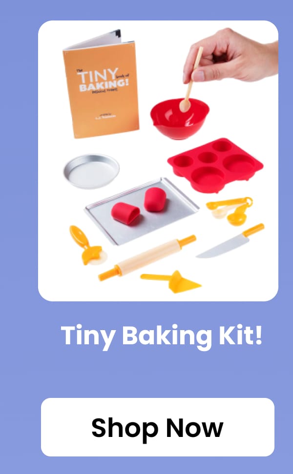 Tiny Baking Kit!