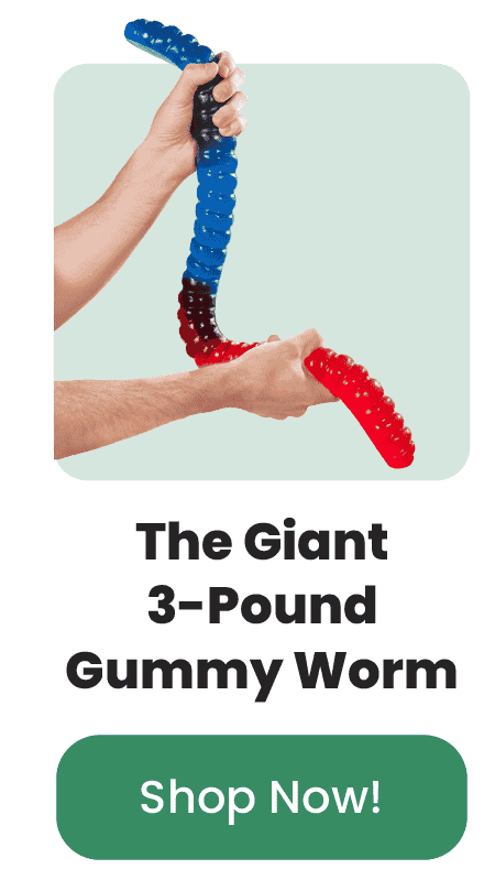 The Giant 3-Pound Gummy Worm