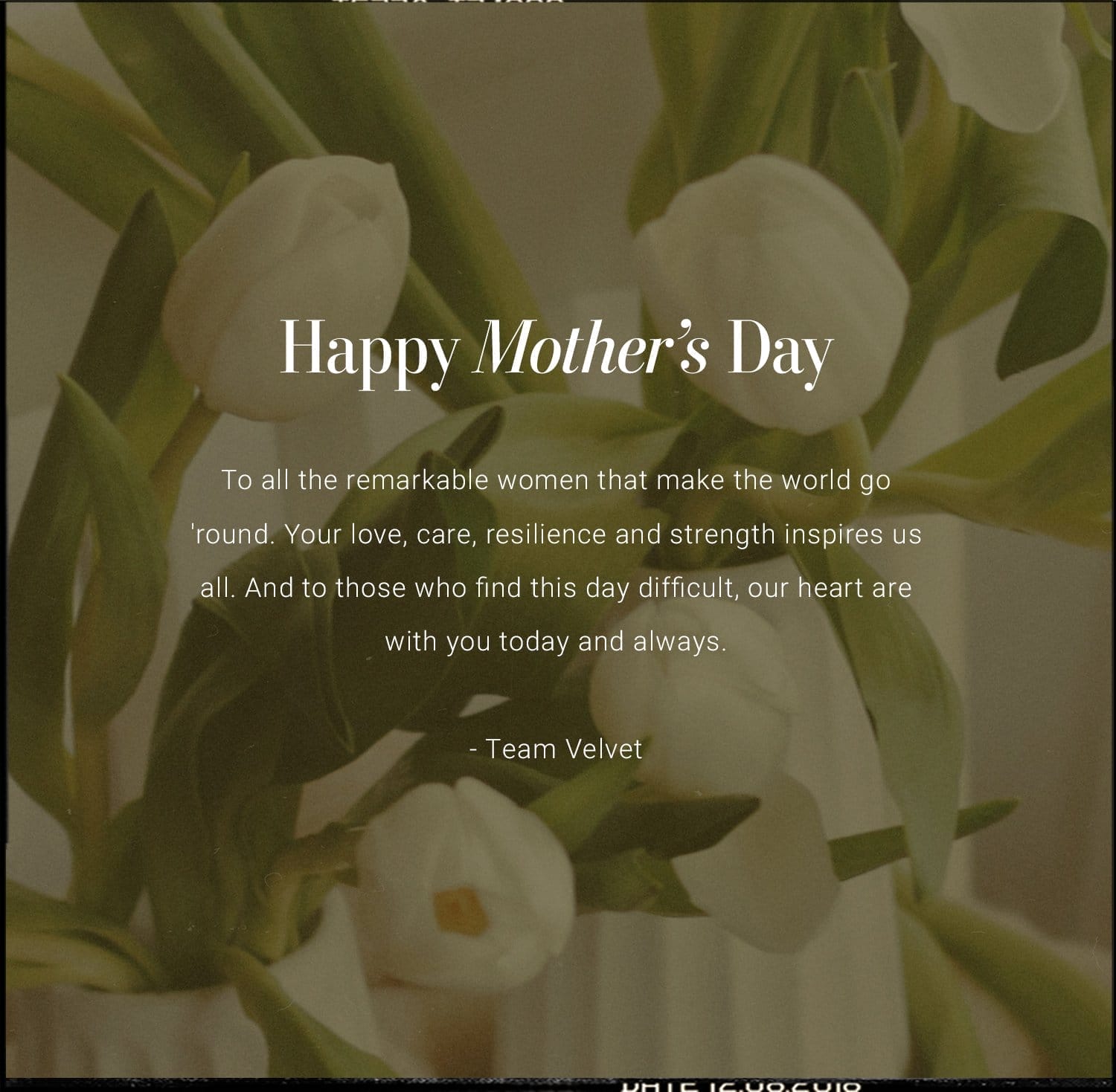 Happy Mother's Day from Velvet!
