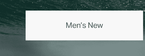 Men's New