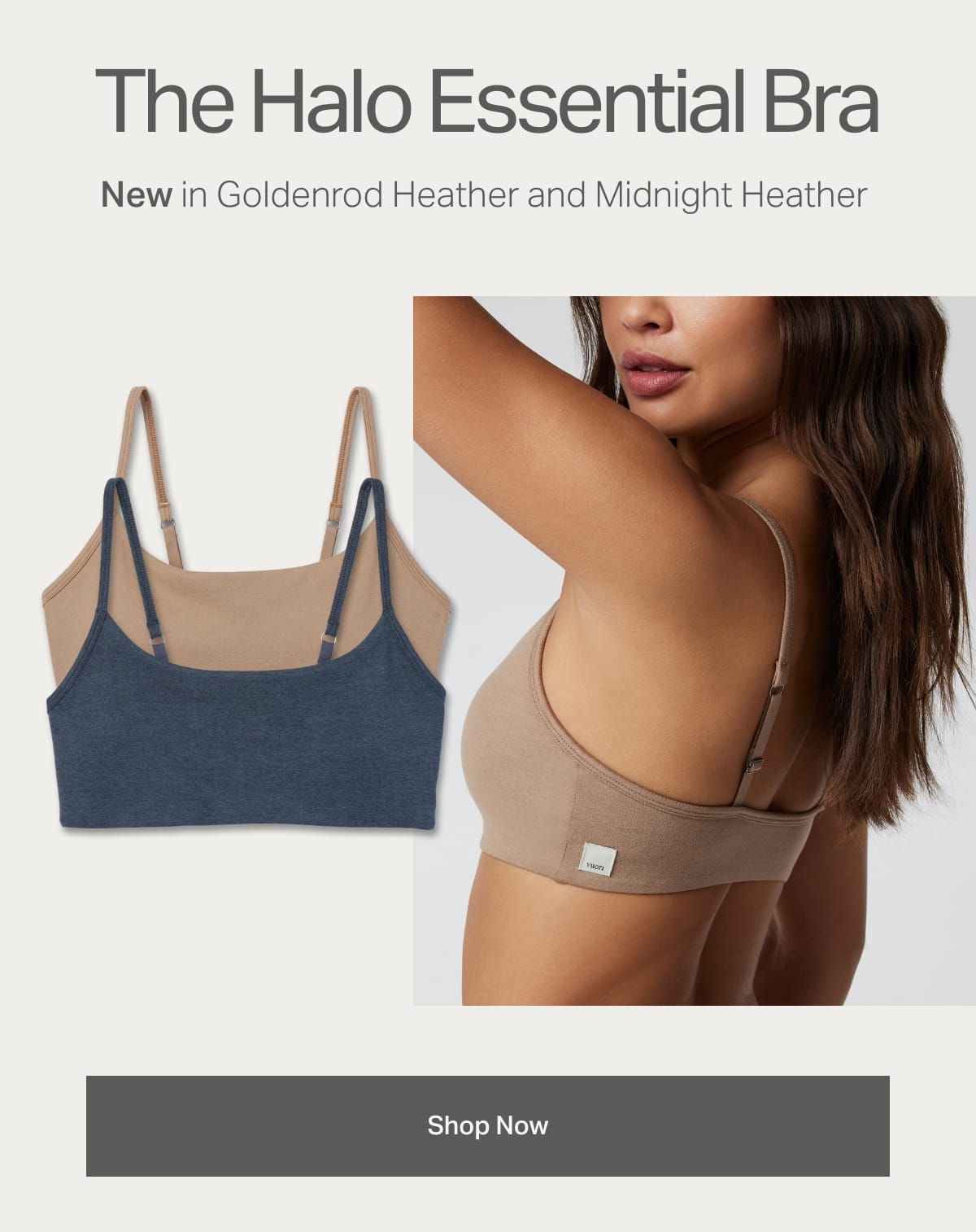 The Halo Essential Bra