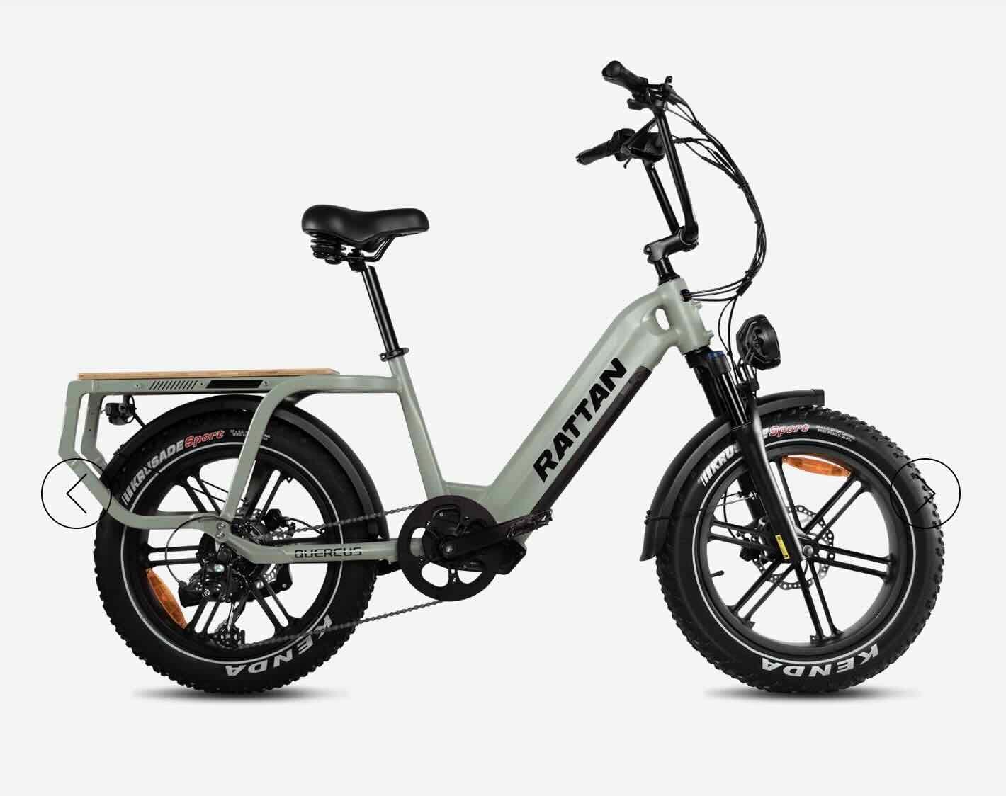 Image of Rattan Cargo Quercus eBike