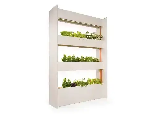 Image of Click & Grow Wall Farm Smart Garden