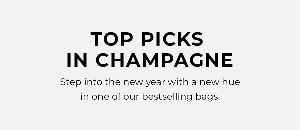 Top Picks in Champagne