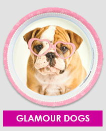 Glamour Dogs