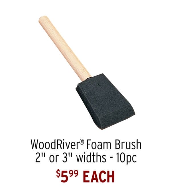 Foam Brush - 10 Piece