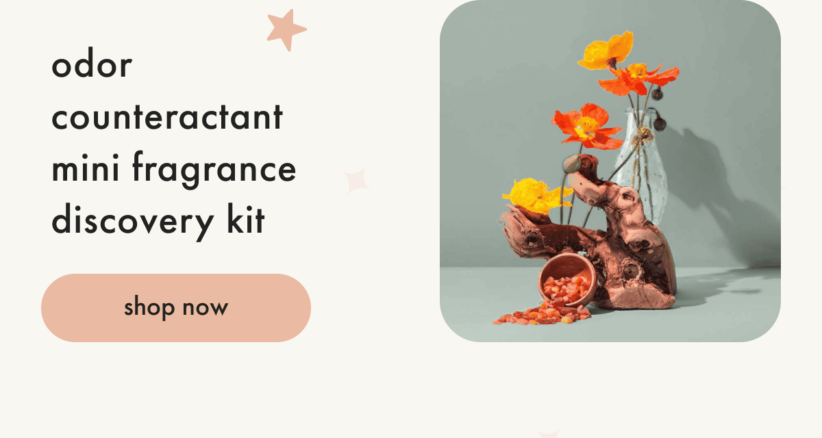 shop mini fragrance discovery kits.