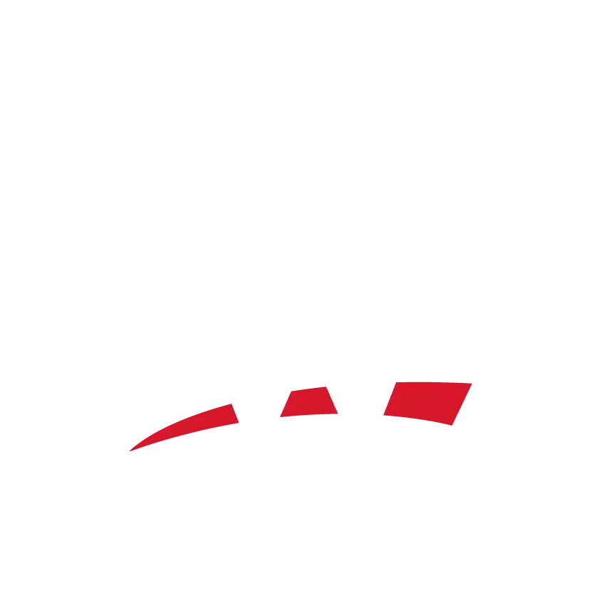 WWE Logo