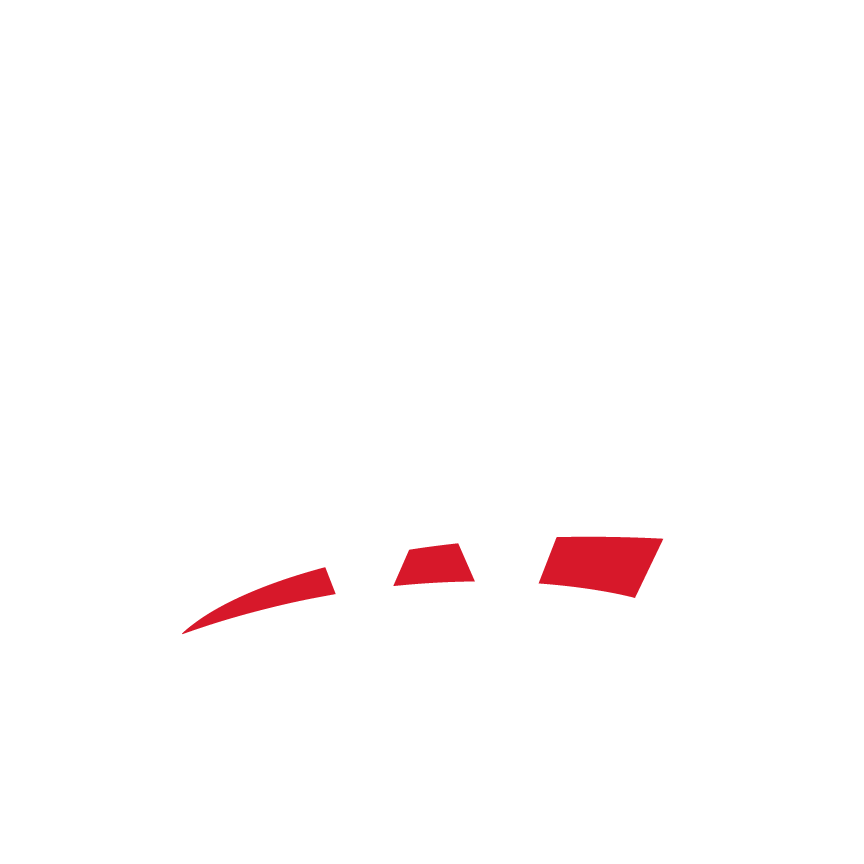 WWE Logo