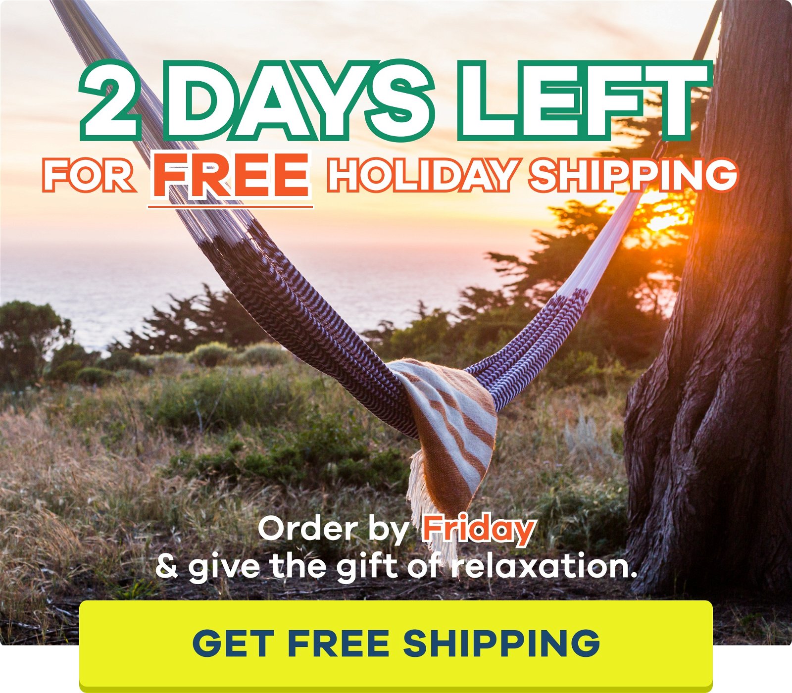 2 DAYS LEFT FOR FREE SHIPPING