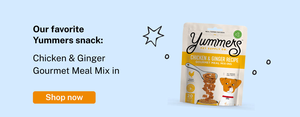 Our favorite snack: Chicken & Ginger Gourmet Meal Mix-In