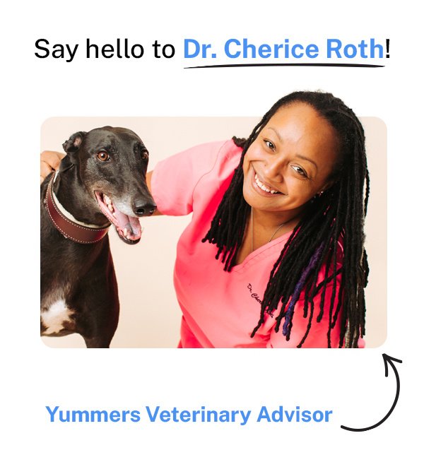 Meet Dr. Cherice Roth