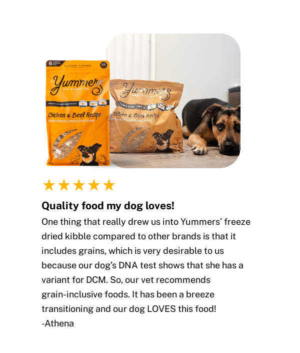 5 Star Review of Yummers Chicken & Beef Recipe Dog Food