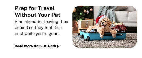 The Ultimate Guide to Holiday Travel With Pets