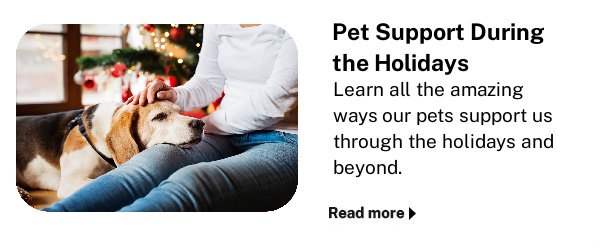 Ways Our Pets Support Us During the Holidays