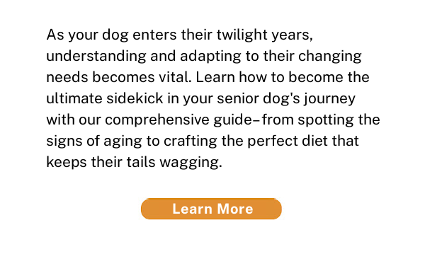 We've teamed up with Dr. Roth to provide you with key ways you can help your senior pet enjoy every minute of their golden years.