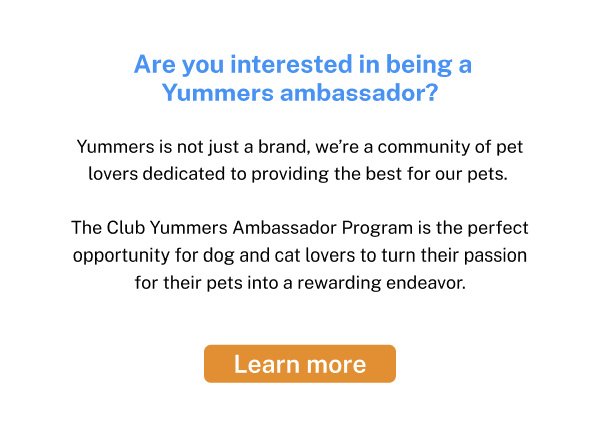 The Club Yummers Ambassador Program is the perfect opportunity for dog and cat lovers to turn their passion for their pets into a rewarding endeavor.