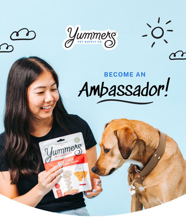 Become a Yummers Ambassador!