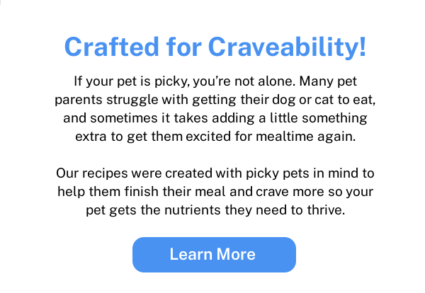 If your pet is picky, you're not alone. Many parents struggle with getting their pets to eat.