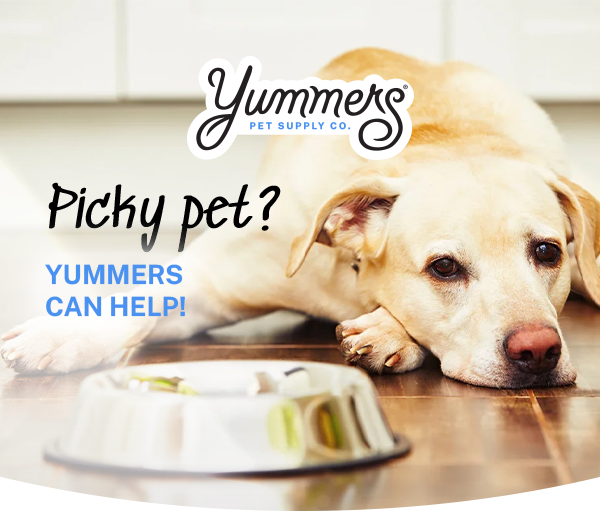 Picky Pet? Yummers can help!