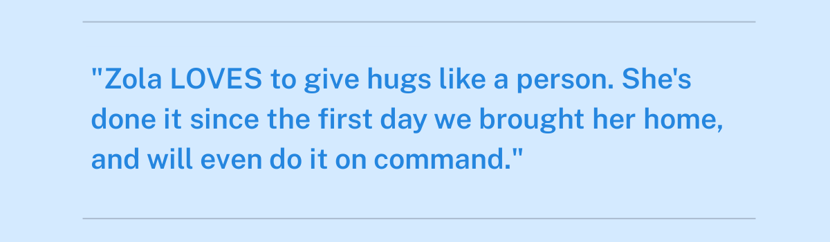 ""Zola LOVES to give hugs like a person. She's done it since the first day we brought her home, and will even do it on command.