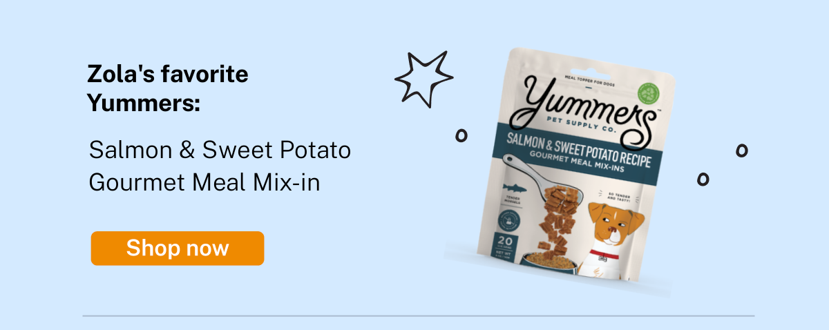 Zola's favorite snack: Salmon & Sweet Potato Gourmet Meal Mix-in