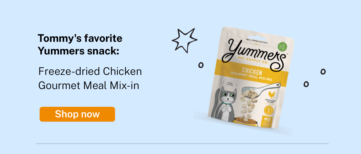 Tommy's favorite snack: Freeze-dried Chicken Gourmet Meal Mix-In