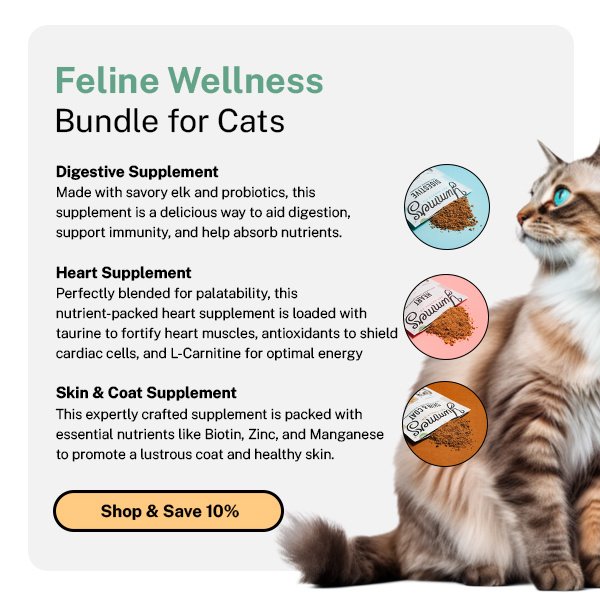 Feline Wellness Bundle for Cats