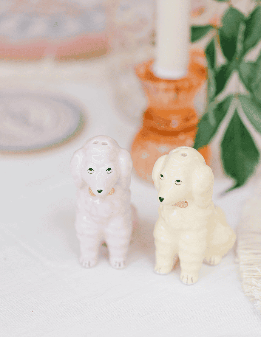 Salt and pepper shaker