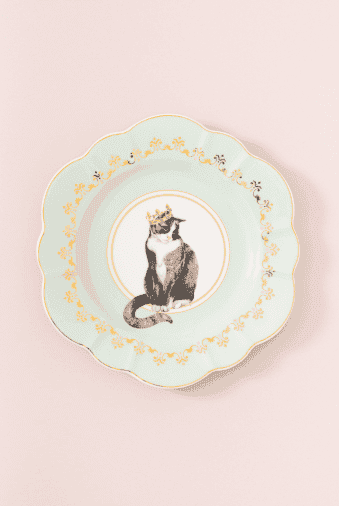 Cat plate