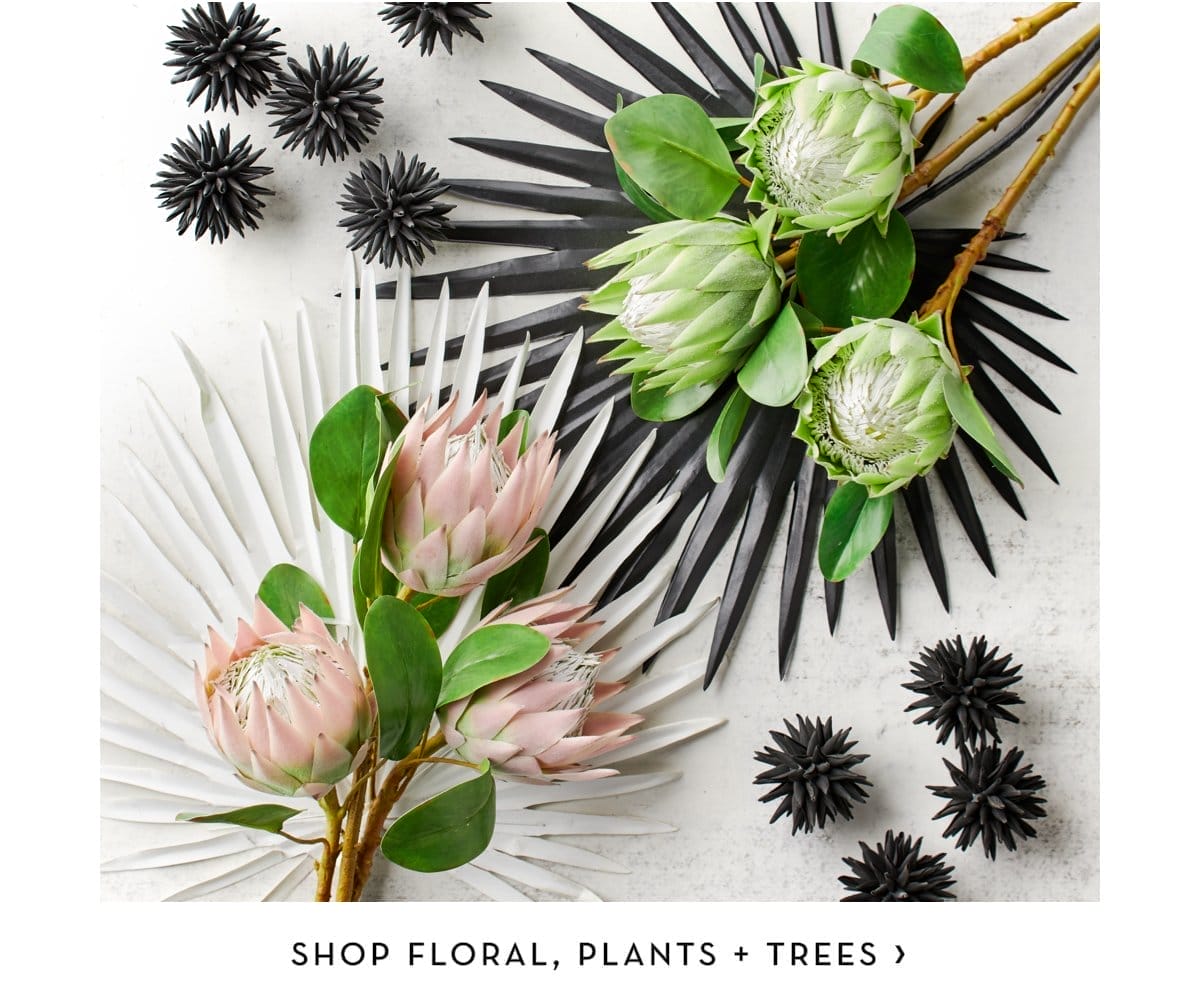 Shop Floral Plants and Trees