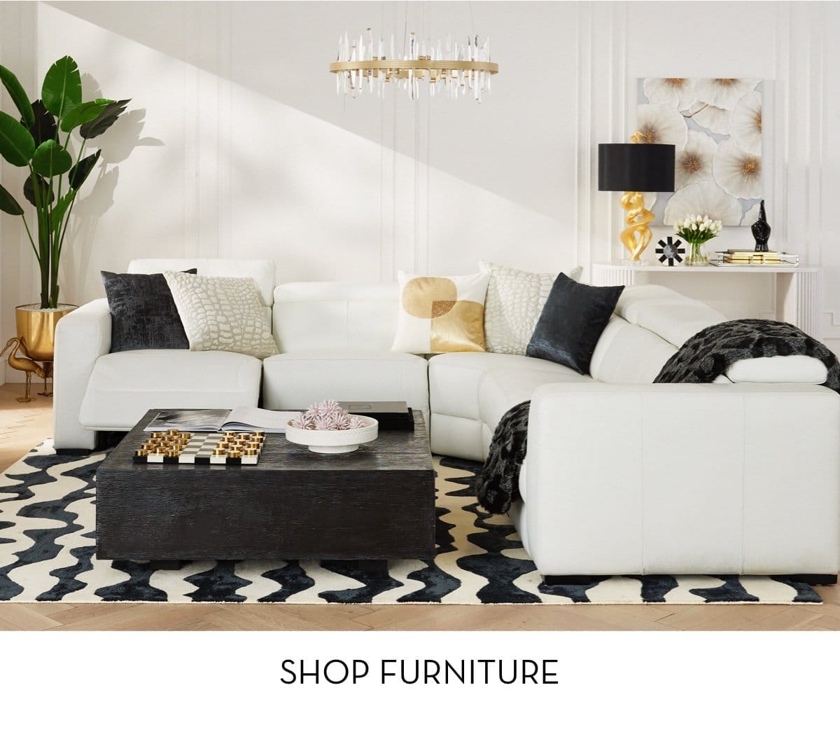 Shop Furniture