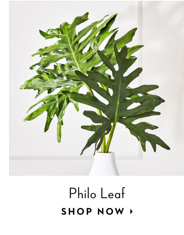 Philo Leaf