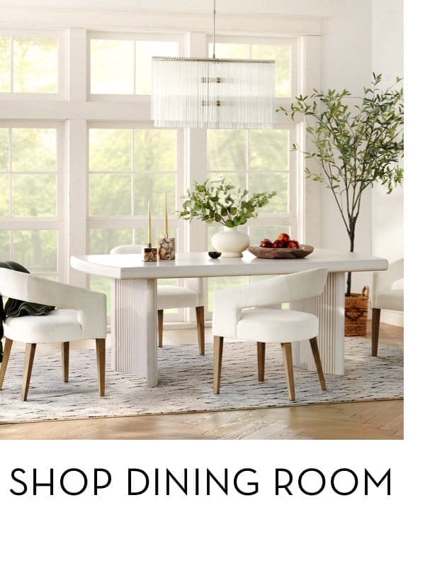 Shop Dining Room