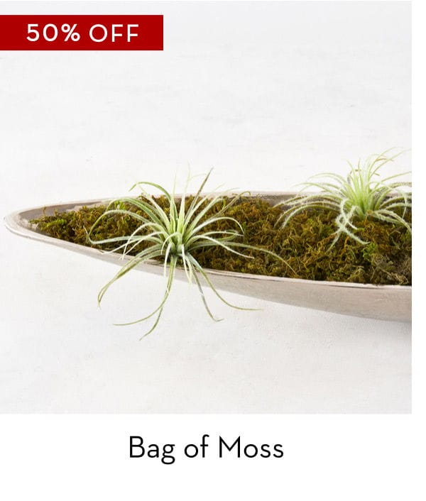 Bag of Moss 50% Off