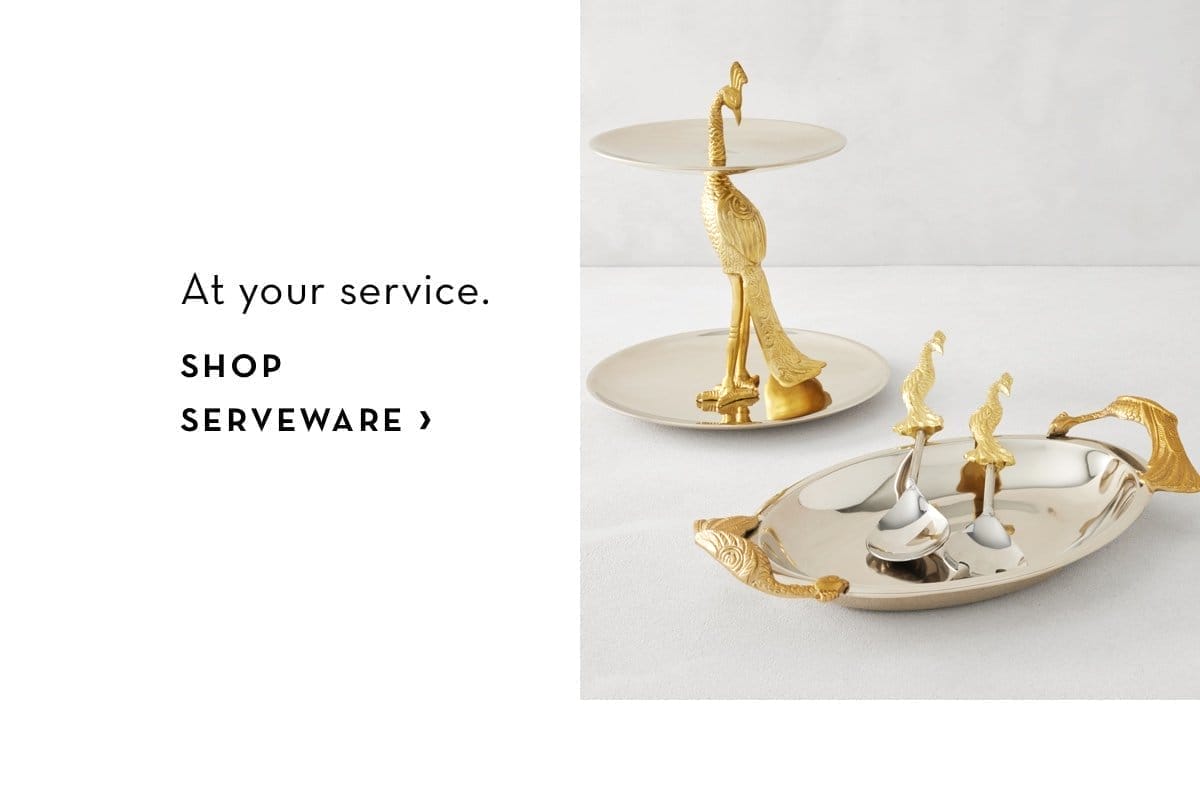 Shop Serveware