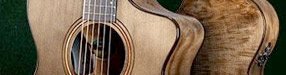 ENDS TUESDAY: Win a Breedlove Organic Pro Artista Guitar!