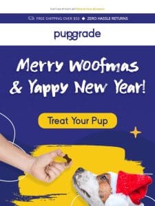 Give Fido the Gift of Health this Holiday Season